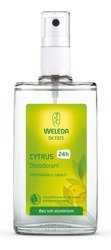 Weleda Citrus Cytrusowy dezodorant 100ml 